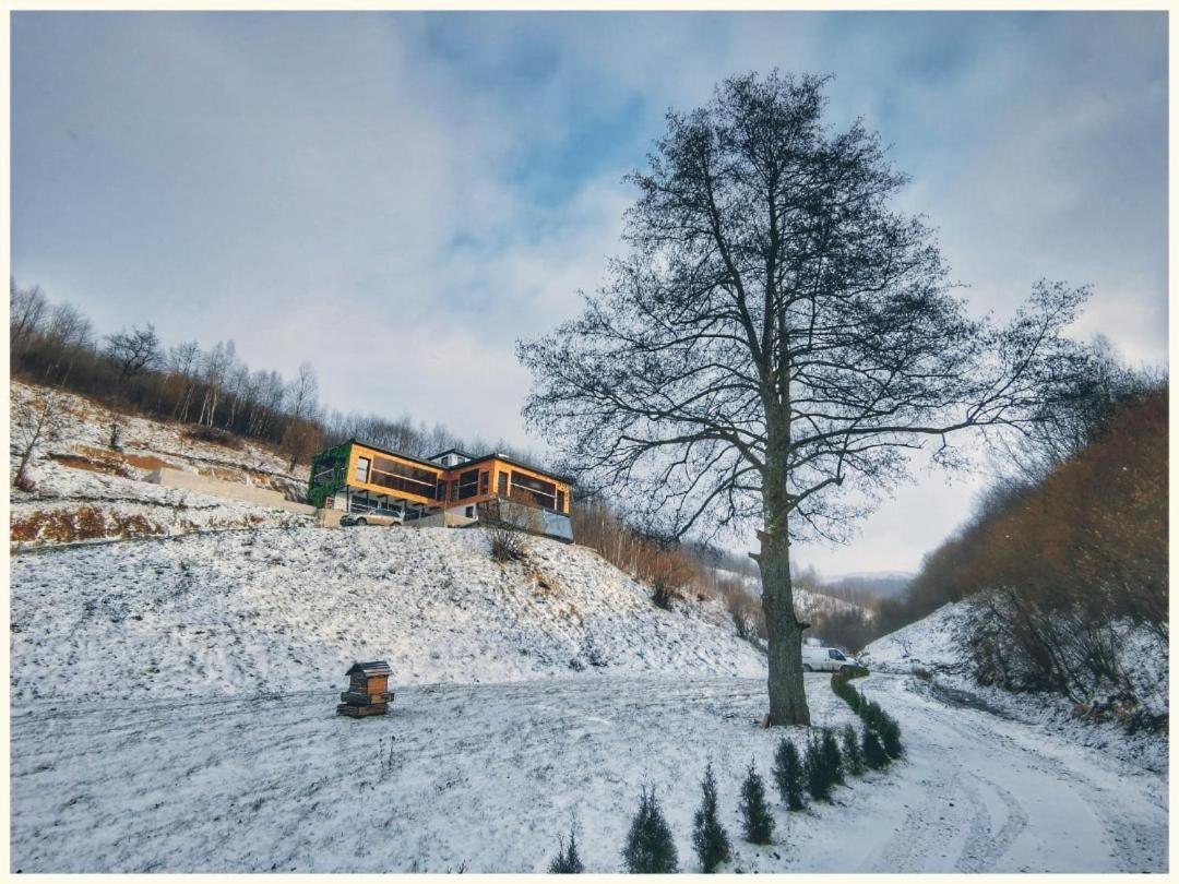 Alter Ego Valea Drăganului Exterior foto